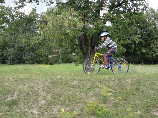 KoBY (60)