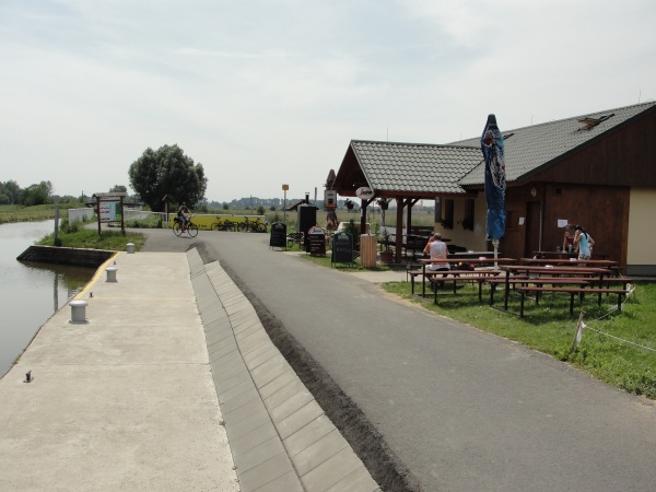 DSC08431