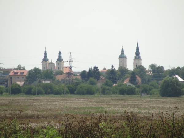 DSC08443